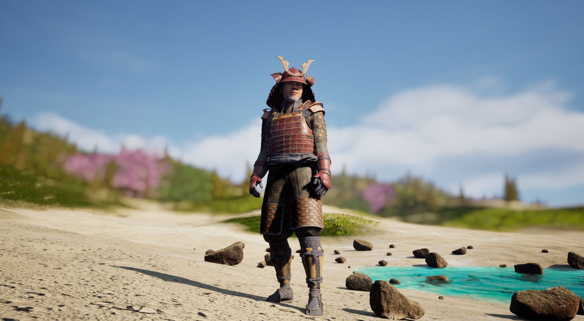 Character in Environment